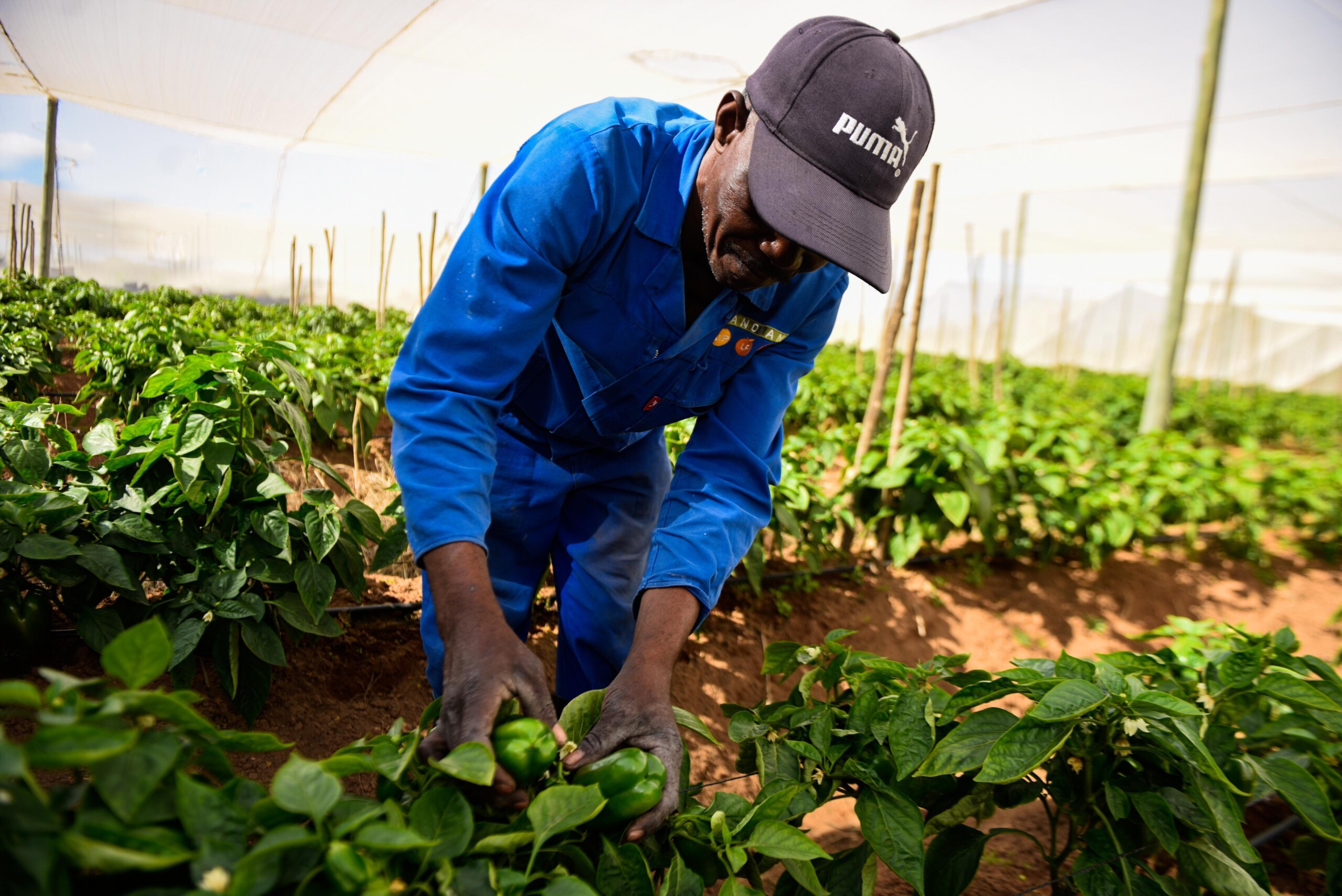 Taking stock of land reform during Human Rights Day commemorations