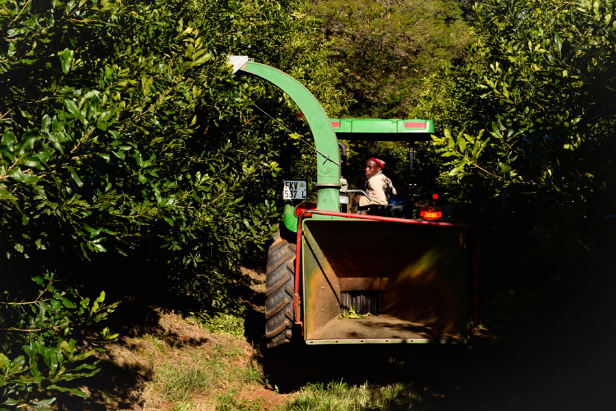 It’s essential to unlock agricultural productivity to combat food inflation and bridge the food supply gap